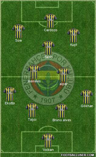 Fenerbahçe SK Formation 2013