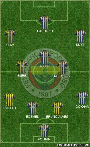 Fenerbahçe SK Formation 2013