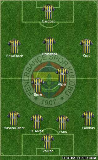 Fenerbahçe SK Formation 2013