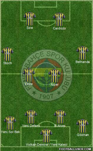 Fenerbahçe SK Formation 2013
