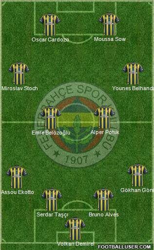 Fenerbahçe SK Formation 2013