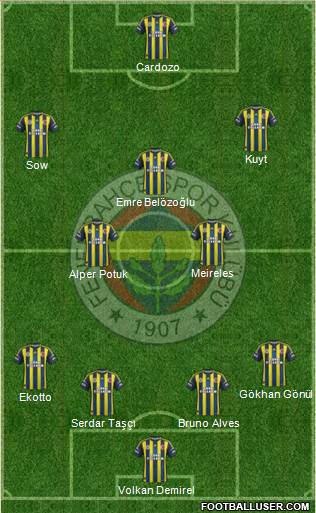 Fenerbahçe SK Formation 2013