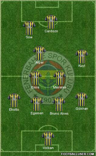 Fenerbahçe SK Formation 2013