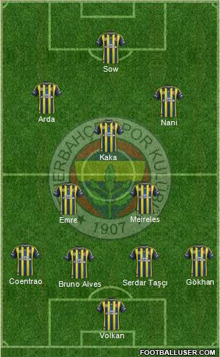 Fenerbahçe SK Formation 2013