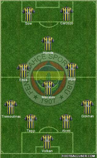 Fenerbahçe SK Formation 2013