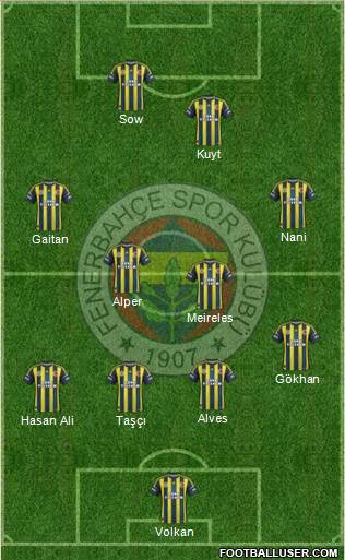 Fenerbahçe SK Formation 2013