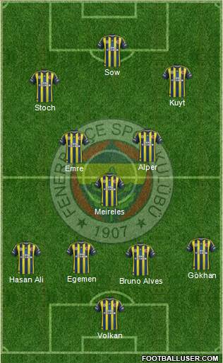 Fenerbahçe SK Formation 2013
