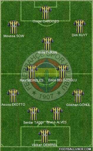 Fenerbahçe SK Formation 2013