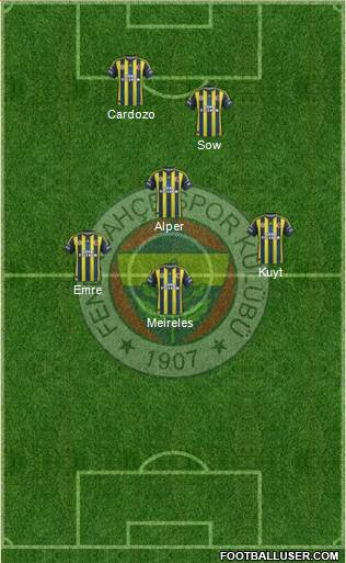 Fenerbahçe SK Formation 2013