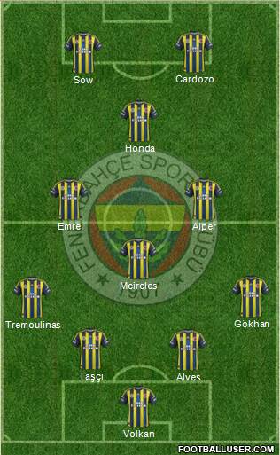 Fenerbahçe SK Formation 2013
