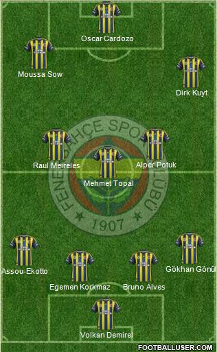 Fenerbahçe SK Formation 2013