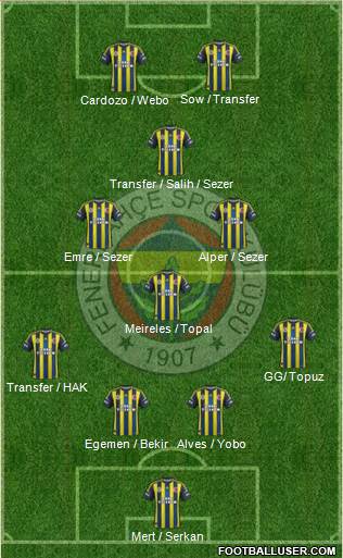 Fenerbahçe SK Formation 2013