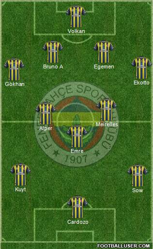Fenerbahçe SK Formation 2013