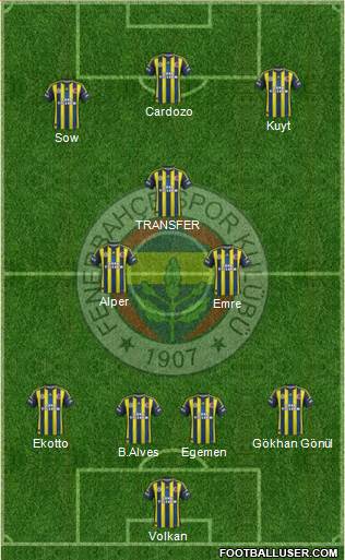 Fenerbahçe SK Formation 2013