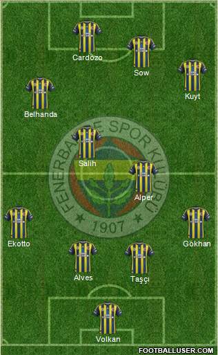 Fenerbahçe SK Formation 2013