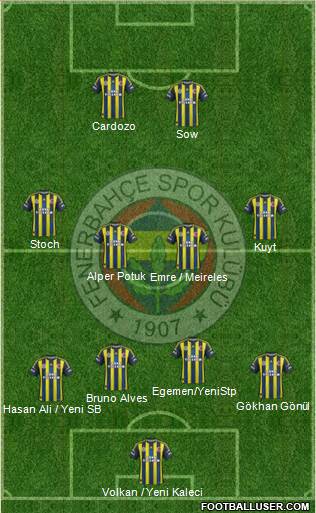 Fenerbahçe SK Formation 2013
