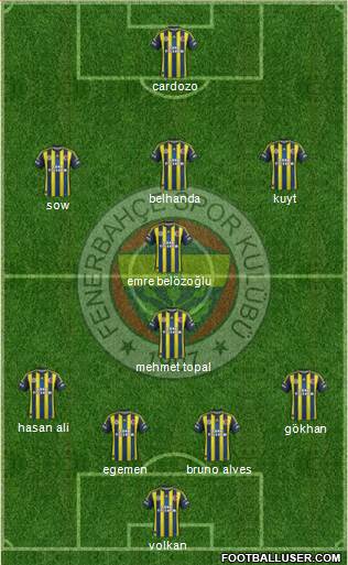 Fenerbahçe SK Formation 2013