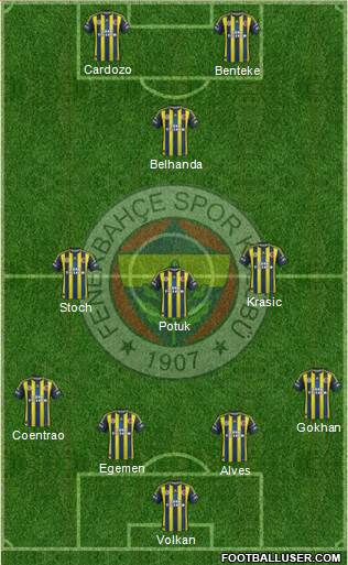Fenerbahçe SK Formation 2013