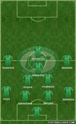 WIT-Georgia Tbilisi Formation 2013