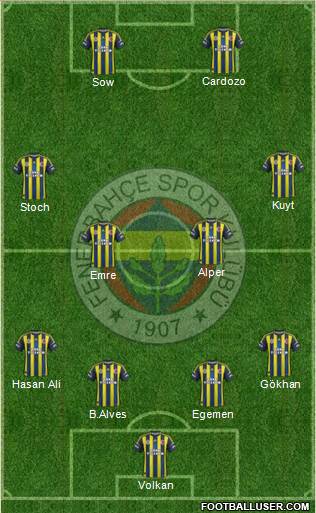Fenerbahçe SK Formation 2013