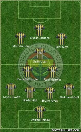 Fenerbahçe SK Formation 2013