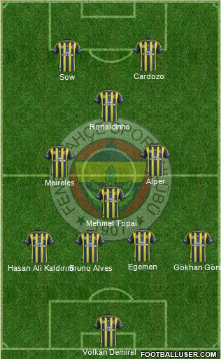 Fenerbahçe SK Formation 2013