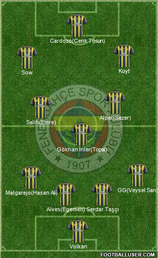 Fenerbahçe SK Formation 2013