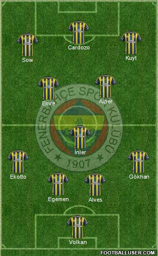Fenerbahçe SK Formation 2013