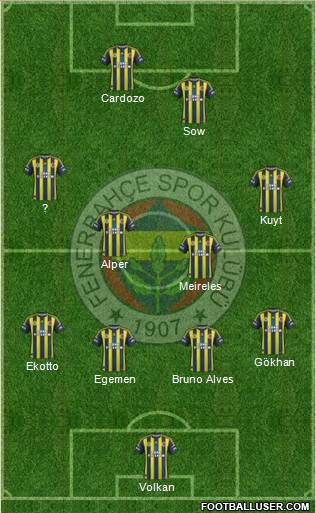 Fenerbahçe SK Formation 2013