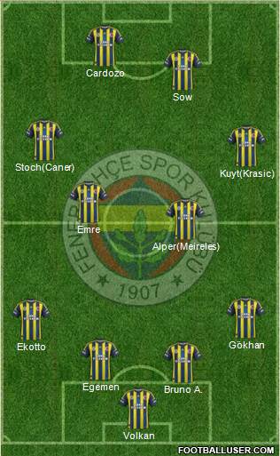 Fenerbahçe SK Formation 2013