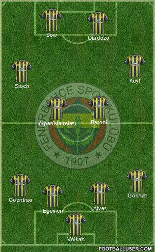 Fenerbahçe SK Formation 2013