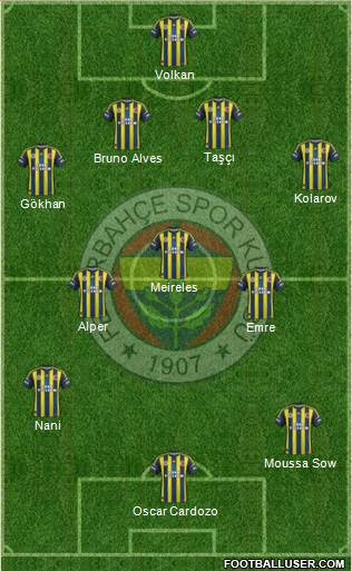 Fenerbahçe SK Formation 2013