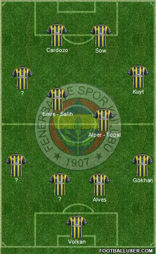 Fenerbahçe SK Formation 2013