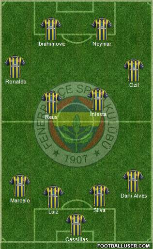 Fenerbahçe SK Formation 2013