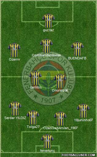 Fenerbahçe SK Formation 2013