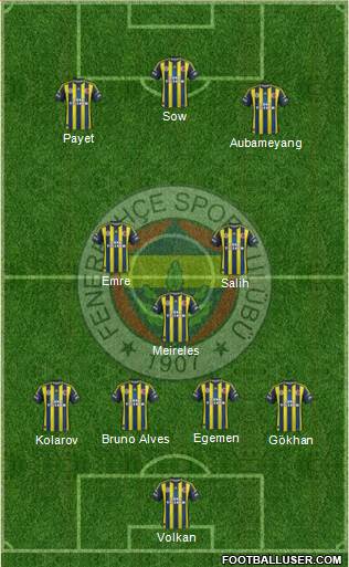 Fenerbahçe SK Formation 2013