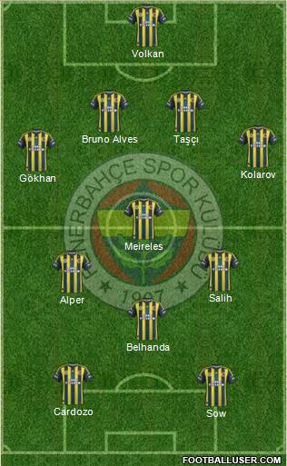 Fenerbahçe SK Formation 2013