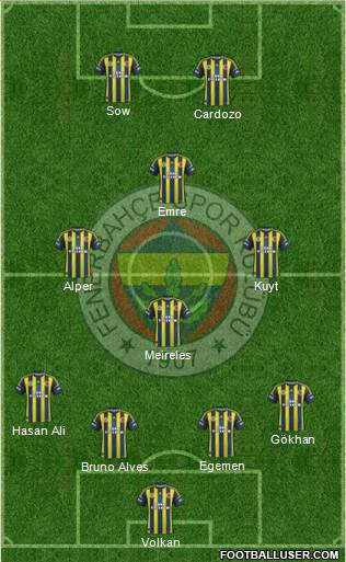 Fenerbahçe SK Formation 2013