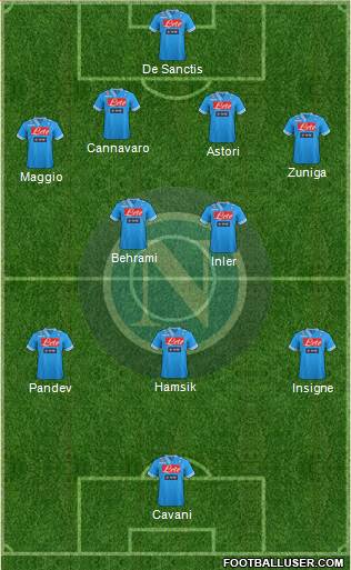 Napoli Formation 2013