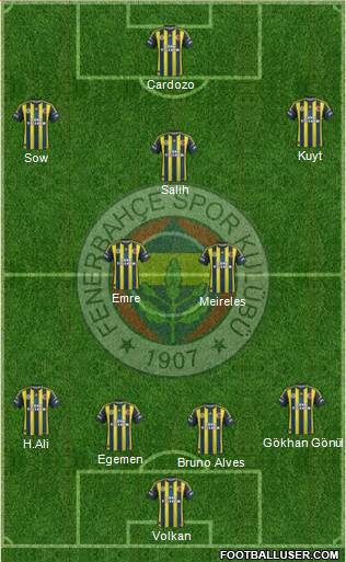 Fenerbahçe SK Formation 2013