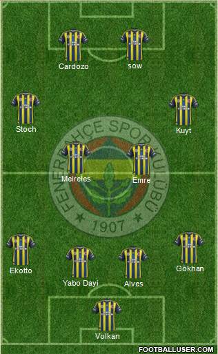 Fenerbahçe SK Formation 2013