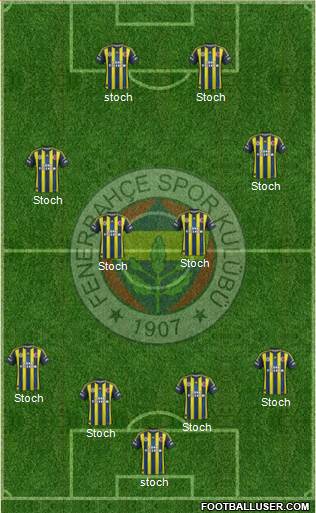 Fenerbahçe SK Formation 2013