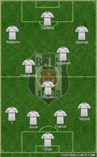 Besiktas JK Formation 2013