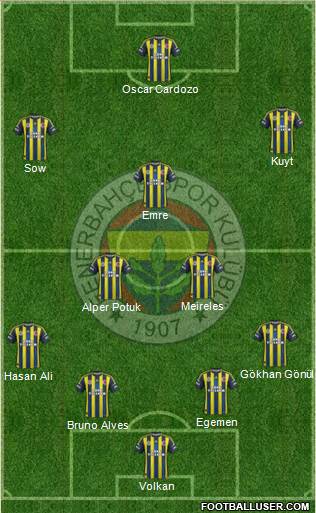 Fenerbahçe SK Formation 2013