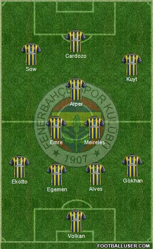 Fenerbahçe SK Formation 2013