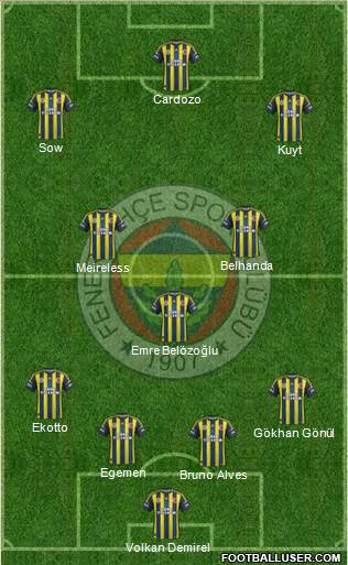 Fenerbahçe SK Formation 2013