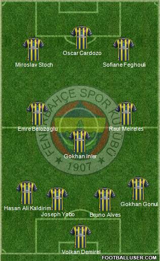 Fenerbahçe SK Formation 2013