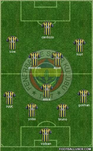 Fenerbahçe SK Formation 2013