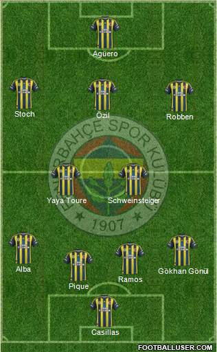 Fenerbahçe SK Formation 2013