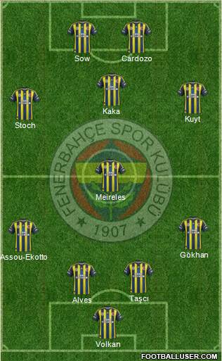 Fenerbahçe SK Formation 2013